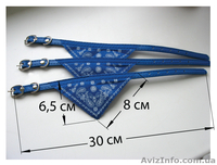 Ошейник для кошек и маленьких собак  - <ro>Изображение</ro><ru>Изображение</ru> #2, <ru>Объявление</ru> #1256391