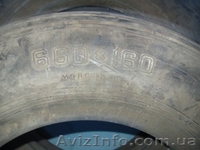 Шины авиационные 930х305, 900х300, 800х260, 660х160, 600х155, 595х185, 500х150,  - <ro>Изображение</ro><ru>Изображение</ru> #3, <ru>Объявление</ru> #1287462