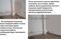 Защита стен, фасадов от плесени, грибка, высолов - <ro>Изображение</ro><ru>Изображение</ru> #1, <ru>Объявление</ru> #1314706