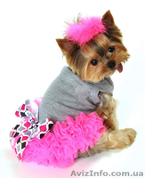 Одежда, корм, витамины для собак и кошек. Интернет-магазин «8 лап и 2 хвоста» - <ro>Изображение</ro><ru>Изображение</ru> #4, <ru>Объявление</ru> #1362502