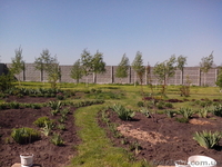 Продам дом со свежим ремонтом в с.Циркуны. - <ro>Изображение</ro><ru>Изображение</ru> #1, <ru>Объявление</ru> #1390644