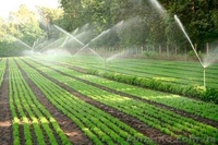 Монтаж трубопроводов для полива  - <ro>Изображение</ro><ru>Изображение</ru> #2, <ru>Объявление</ru> #1417873