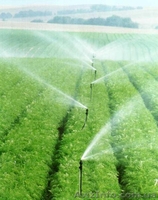 Монтаж трубопроводов для полива  - <ro>Изображение</ro><ru>Изображение</ru> #3, <ru>Объявление</ru> #1417873