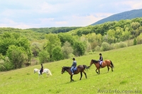 Активный отдых в Карпатах | Активний відпочинок в Карпатах - <ro>Изображение</ro><ru>Изображение</ru> #3, <ru>Объявление</ru> #1448396