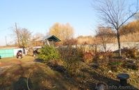 Продам дом в с. Шелудьковка - <ro>Изображение</ro><ru>Изображение</ru> #3, <ru>Объявление</ru> #1470547