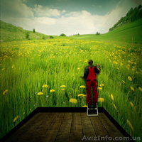 Поклейка обоев в Харькове фриз багеты плинтус ламинат - <ro>Изображение</ro><ru>Изображение</ru> #9, <ru>Объявление</ru> #1499422