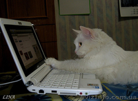  Ремонту телевизоров качественный ремонт телевизоров всех типов: - <ro>Изображение</ro><ru>Изображение</ru> #2, <ru>Объявление</ru> #1507867