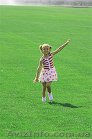 Акция -25% до Среды МАКИТА (Польша) Бензокоса 4,2 кВт Мотокоса Makita Жми - <ro>Изображение</ro><ru>Изображение</ru> #6, <ru>Объявление</ru> #1565121