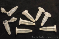 Achaslim — универсальный природный продукт для комплексного ухода за кожей - <ro>Изображение</ro><ru>Изображение</ru> #2, <ru>Объявление</ru> #1571431