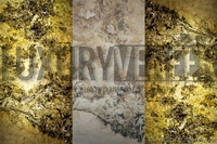 Шпон из натуральногокамня. Сланцевый шпон. LUXURYVENEER - <ro>Изображение</ro><ru>Изображение</ru> #3, <ru>Объявление</ru> #1581060