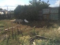 Жилой дом в с.Зеленый колодец. - <ro>Изображение</ro><ru>Изображение</ru> #2, <ru>Объявление</ru> #1586593