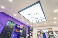 Менеджер-Замерщик натяжных потолков - <ro>Изображение</ro><ru>Изображение</ru> #2, <ru>Объявление</ru> #1627793