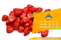 Семена кукурузы / Насіння кукурудзи Дніпровський 181 СВ від ПБФ «Колос» - <ro>Изображение</ro><ru>Изображение</ru> #1, <ru>Объявление</ru> #1632334