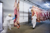 Требуются обвальщики на мясокомбинат, Литва - <ro>Изображение</ro><ru>Изображение</ru> #1, <ru>Объявление</ru> #1639391