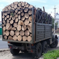 Продам Дрова Дубовые (Хозяин) - <ro>Изображение</ro><ru>Изображение</ru> #3, <ru>Объявление</ru> #1641674