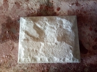  Производство тротуарной плитки и ж/б колец и укладка тротуарной плитки - <ro>Изображение</ro><ru>Изображение</ru> #1, <ru>Объявление</ru> #1669354