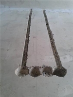 Сантехнические работы и электрика - большой опыт работы - <ro>Изображение</ro><ru>Изображение</ru> #4, <ru>Объявление</ru> #1692063