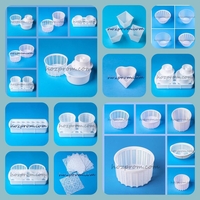 Комплект форм для сыра Делать сыр в домашних условиях Формы для сыров - <ro>Изображение</ro><ru>Изображение</ru> #2, <ru>Объявление</ru> #1696938