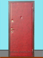 Ремонт реставрация входных дверей   - <ro>Изображение</ro><ru>Изображение</ru> #3, <ru>Объявление</ru> #1698284