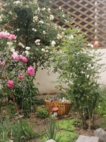 Морской отдых на Азове п.Генгорка  - <ro>Изображение</ro><ru>Изображение</ru> #7, <ru>Объявление</ru> #1118662