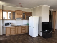 Сдам свою 1-но комн. кв. студия. Григоровское шоссе, 55 - <ro>Изображение</ro><ru>Изображение</ru> #1, <ru>Объявление</ru> #1715261