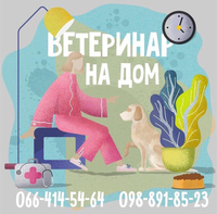 Услуги Ветеринара на дом  - <ro>Изображение</ro><ru>Изображение</ru> #1, <ru>Объявление</ru> #1715639