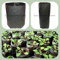 Пакеты для рассады Выращивание хвойных растений Пакеты для саженцев - <ro>Изображение</ro><ru>Изображение</ru> #1, <ru>Объявление</ru> #1717064