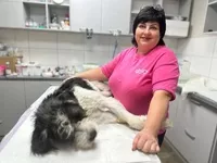 Ветклініка "SOS" - доступна допомога тваринам! - <ro>Изображение</ro><ru>Изображение</ru> #2, <ru>Объявление</ru> #1751770