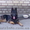 внеплановые щенки немецкой овчарки чёрного и зоннарно-серого окраса - <ro>Изображение</ro><ru>Изображение</ru> #3, <ru>Объявление</ru> #3268