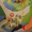1.	Bright Starts (Брайт стартс) Игровой коврик-манеж для малыша  - <ro>Изображение</ro><ru>Изображение</ru> #3, <ru>Объявление</ru> #12280