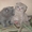 Плюшевые котята (scottish straight & scottish fold) - <ro>Изображение</ro><ru>Изображение</ru> #2, <ru>Объявление</ru> #18208