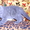 продам котенка скотиш-страйта - <ro>Изображение</ro><ru>Изображение</ru> #1, <ru>Объявление</ru> #28749
