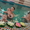бассейн ,сауна для детей в Родительскрм клубе MADONNA - <ro>Изображение</ro><ru>Изображение</ru> #2, <ru>Объявление</ru> #49584