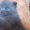 Шотландских и британских котят - <ro>Изображение</ro><ru>Изображение</ru> #2, <ru>Объявление</ru> #54889