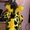 Котята доннского сфинкса - <ro>Изображение</ro><ru>Изображение</ru> #4, <ru>Объявление</ru> #51344