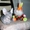 Котята доннского сфинкса - <ro>Изображение</ro><ru>Изображение</ru> #2, <ru>Объявление</ru> #51344