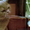 британец, страйт ,вислоухий коты для вязок - <ro>Изображение</ro><ru>Изображение</ru> #1, <ru>Объявление</ru> #74685
