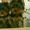 продажа щенков йоркширскоготериера - <ro>Изображение</ro><ru>Изображение</ru> #3, <ru>Объявление</ru> #120003