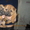 Продам щенков Шарпея - <ro>Изображение</ro><ru>Изображение</ru> #1, <ru>Объявление</ru> #155251