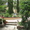 Акция 30% скидка отдых в Судаке 2012 пансионат Ласточкино гнездо #223972