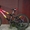 Продам детский велосипед Winner Coyote (БУ) - <ro>Изображение</ro><ru>Изображение</ru> #2, <ru>Объявление</ru> #290736