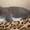 плюшевые игрушки - британские котята - <ro>Изображение</ro><ru>Изображение</ru> #3, <ru>Объявление</ru> #299553