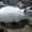 Продам кролей Новозеландца и Килифорнийского - <ro>Изображение</ro><ru>Изображение</ru> #2, <ru>Объявление</ru> #346610