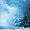 Групповые туры в Карпаты! Карпаты для групп. зима 2012. Львовские Карпаты и др. - <ro>Изображение</ro><ru>Изображение</ru> #4, <ru>Объявление</ru> #379154