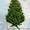 Новогодние искусственные елки и искусственные сосны от произв опт и розница - <ro>Изображение</ro><ru>Изображение</ru> #4, <ru>Объявление</ru> #416586