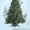 Новогодние искусственные елки и искусственные сосны от произв опт и розница - <ro>Изображение</ro><ru>Изображение</ru> #2, <ru>Объявление</ru> #416586