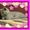 Британский плюшевый котенок, Салтовка - <ro>Изображение</ro><ru>Изображение</ru> #2, <ru>Объявление</ru> #464616