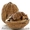 Продам грецкие орехи в скорлупе и ядра грецкого ореха #514197