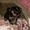 продам щенкой йоркширского терьера - <ro>Изображение</ro><ru>Изображение</ru> #2, <ru>Объявление</ru> #496648