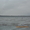 срочно продам дачу на озере Лиман - <ro>Изображение</ro><ru>Изображение</ru> #3, <ru>Объявление</ru> #554845